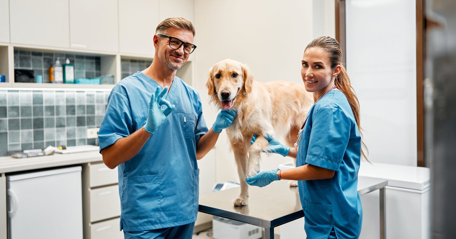 Két állatorvos kék ruhában egy golden retrievert vizsgál a rendelő vizsgálóasztalán